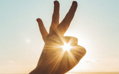 Ciento veinticuatro jóvenes han encontrado empleo en los últimos tres años gracias al Servicio de Orientación Sociolaboral de Fundación Cáritas Chavicar